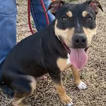 Thumbnail photo of Cray #3