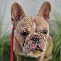 Thumbnail photo of Tyson #3