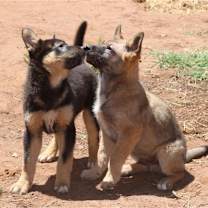 Thumbnail photo of Delta #2