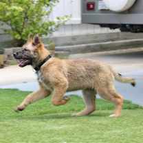 Thumbnail photo of Delta #3