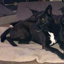 Thumbnail photo of Little Guy #4