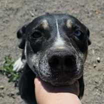 Thumbnail photo of Nova #2