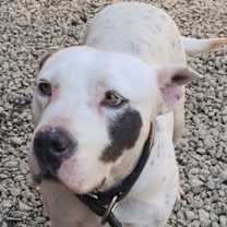 Thumbnail photo of Blanca #1