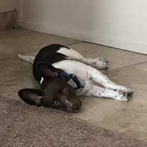 Thumbnail photo of oatmilk #2