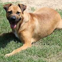 Thumbnail photo of DAISY #2