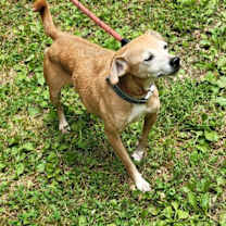 Thumbnail photo of Mylo #2