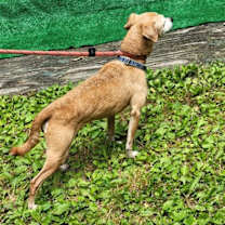 Thumbnail photo of Mylo #3