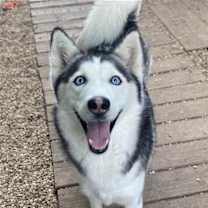 Thumbnail photo of Lyla #2