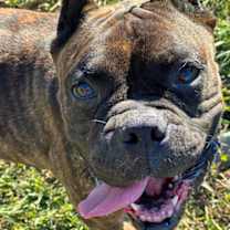 Thumbnail photo of Dave #1