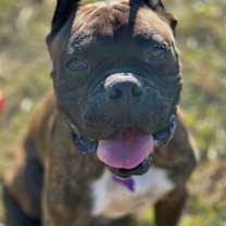 Thumbnail photo of Dave #2