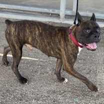 Thumbnail photo of Dave #3