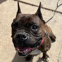 Thumbnail photo of Dave #4