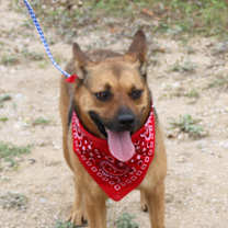 Thumbnail photo of Tessa #1