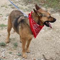 Thumbnail photo of Tessa #2