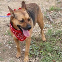 Thumbnail photo of Tessa #3