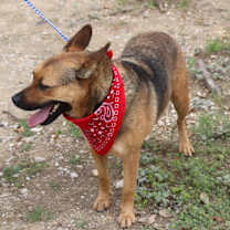 Thumbnail photo of Tessa #4