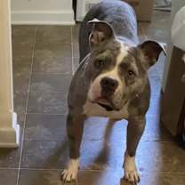 Thumbnail photo of Ice #2