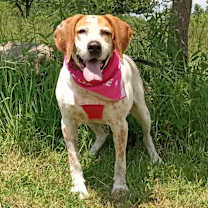 Thumbnail photo of Sweet Tayda #1