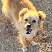 Thumbnail photo of Lucky #1