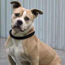Thumbnail photo of Hercules #1