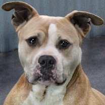Thumbnail photo of Hercules #2