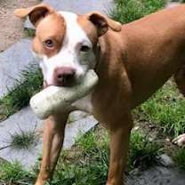 Thumbnail photo of Spencer #3