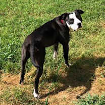 Thumbnail photo of Lady #2