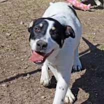 Thumbnail photo of Titch #2