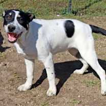 Thumbnail photo of Titch #3