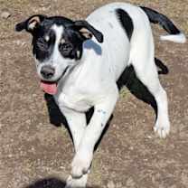 Thumbnail photo of Titch #1