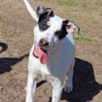 Thumbnail photo of Twinky #2