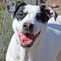 Thumbnail photo of Twinky #4