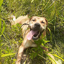 Thumbnail photo of Sophia #1