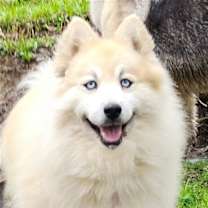 Thumbnail photo of Bear Kendall #1