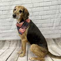 Thumbnail photo of Cletus #3