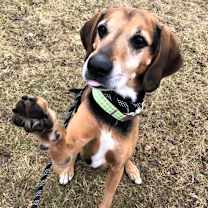 Thumbnail photo of Cletus #4