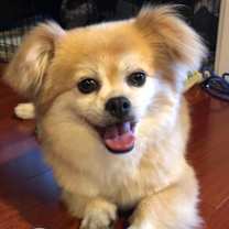 Thumbnail photo of Sugar #1