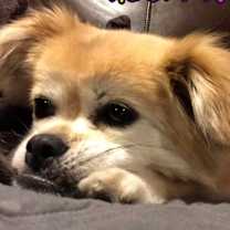 Thumbnail photo of Sugar #2