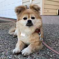 Thumbnail photo of Sugar #3
