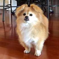 Thumbnail photo of Sugar #4