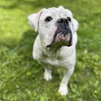 Thumbnail photo of Bronx #2