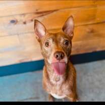 Thumbnail photo of Jedi-Sponsored #1