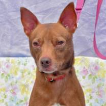 Thumbnail photo of Jedi-Sponsored #2