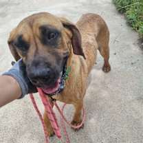 Thumbnail photo of Shasha #1