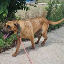 Thumbnail photo of Shasha #2