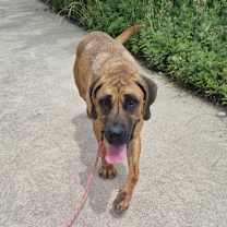 Thumbnail photo of Shasha #3
