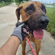 Thumbnail photo of Shasha #4