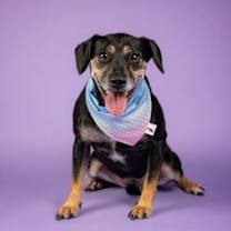 Thumbnail photo of Maggie Mae #2