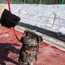 Thumbnail photo of Ila #1