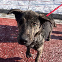 Thumbnail photo of Ila #2